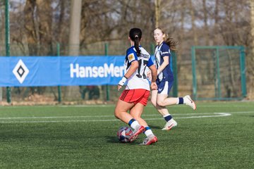 Bild 191 - wBJ Hamburger SV - Hertha BSC : Ergebnis: 2:1